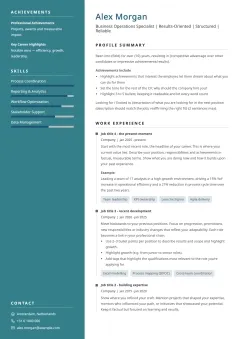 Modern resume template example featuring a blue-toned sidebar and a clean, contemporary layout